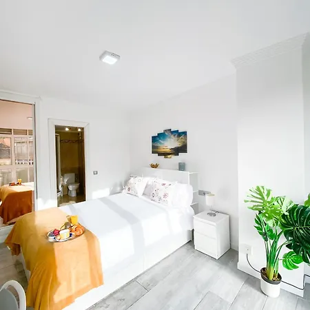 3 Y 3 Baths Y Aparcamiento Catedral Málaga
